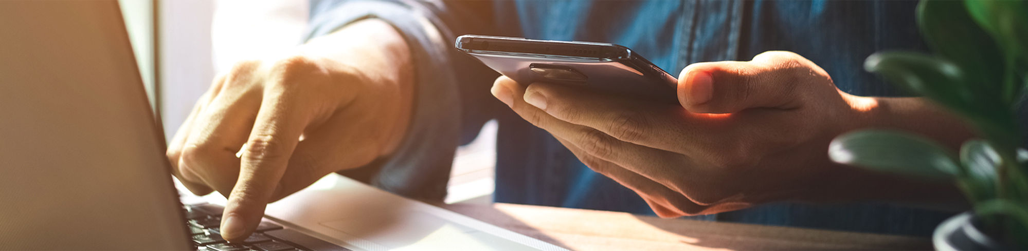 Man holding phone and typing on laptop